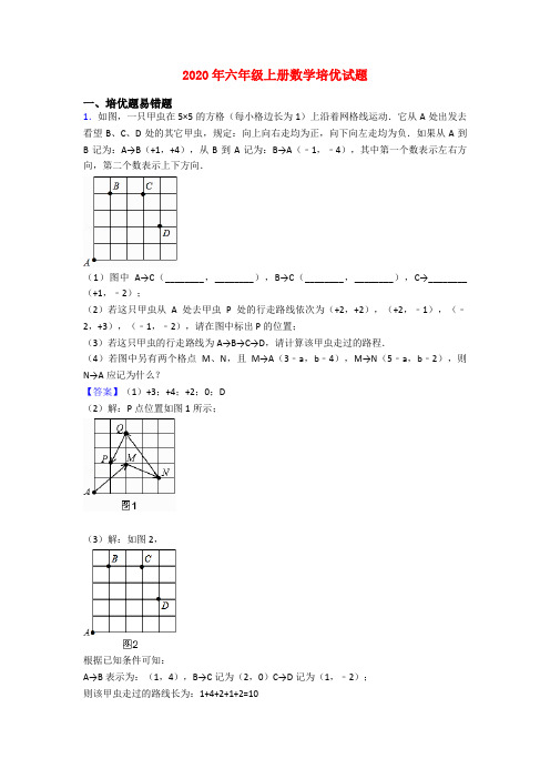 2020年六年级上册数学培优试题