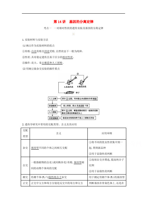 2021高考生物一轮复习新人教版教案：第5单元孟德尔定律和伴性遗传