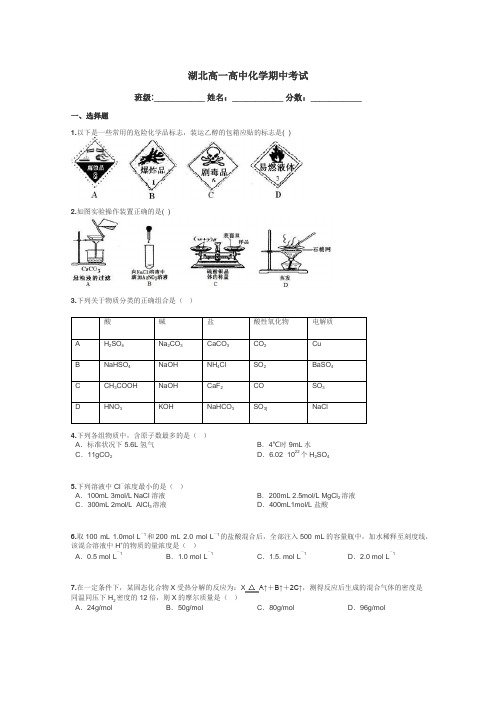 湖北高一高中化学期中考试带答案解析

