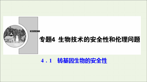 高中生物专题4生物技术的安全性和伦理问题41转基因生物的安全性课件新人教版选修