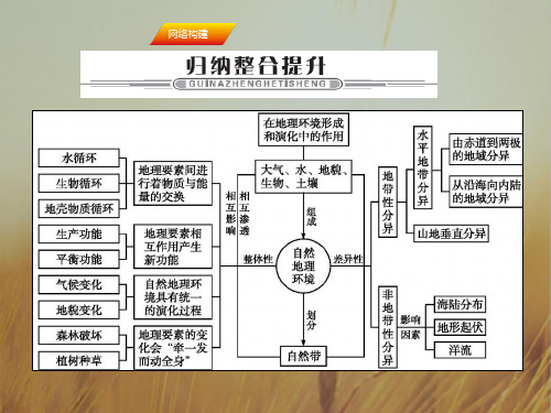 2020年高考地理一轮复习课件-第五章 自然地理环境的整