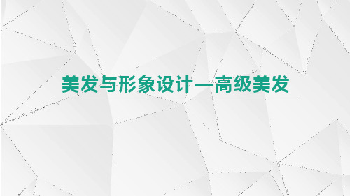 美发与形象设计——高级美发-第二章