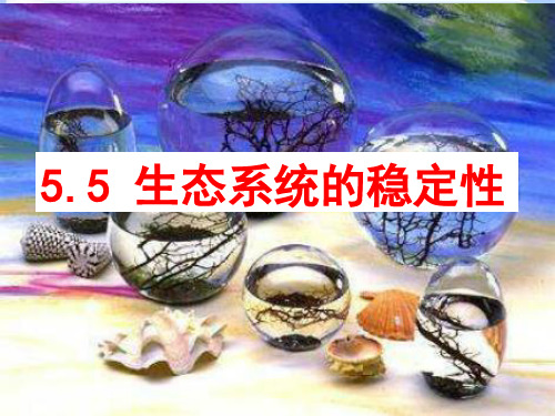 人教版高中生物必修三第5章第5节 生态系统的稳定性 课件(共35张PPT)