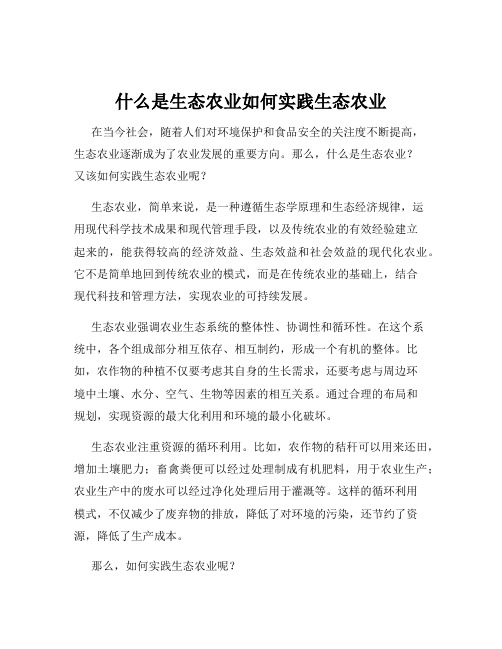 什么是生态农业如何实践生态农业