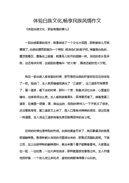 体验白族文化,畅享民族风情作文