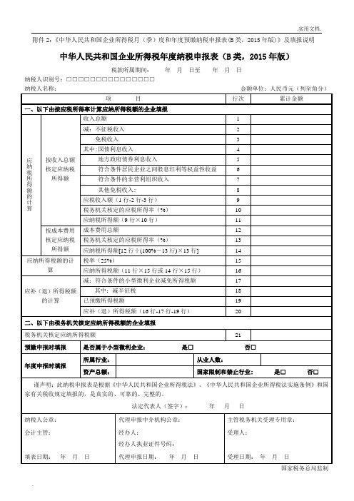 所得税年度B类报表(核定征收企业用)