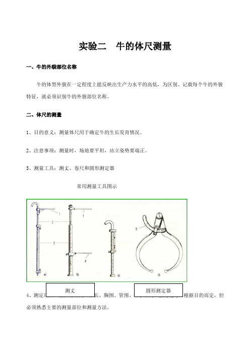 牛生产体尺测量实验