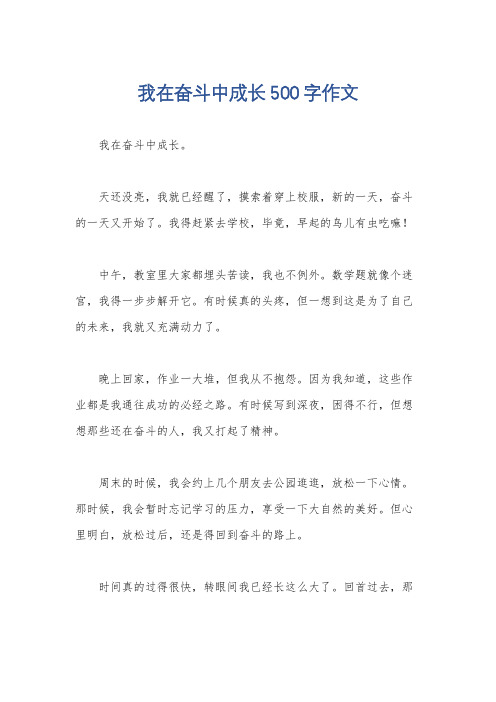 我在奋斗中成长500字作文