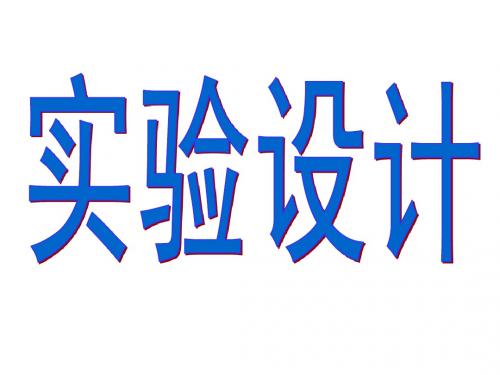实验设计