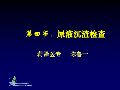 尿液沉渣显微镜检查