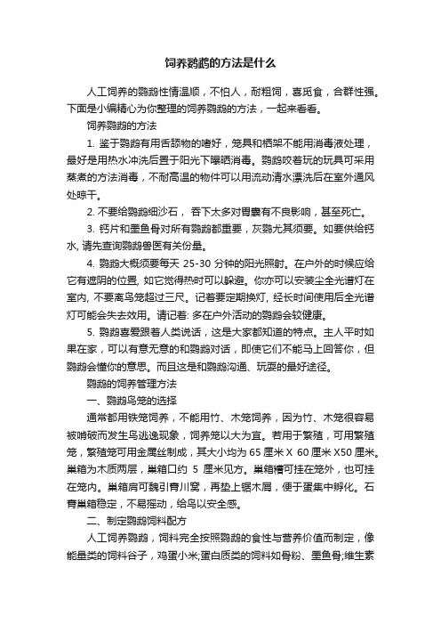 饲养鹦鹉的方法是什么