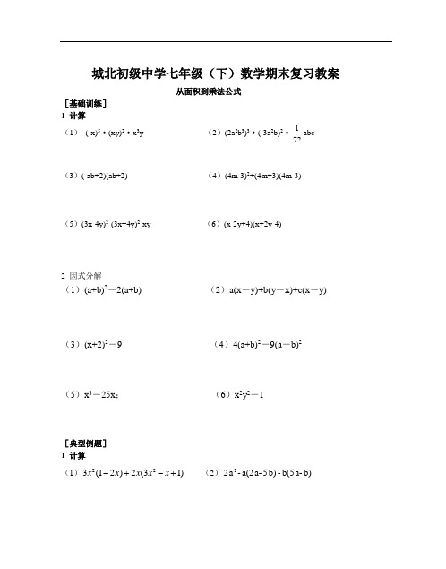 城北中学初一数学下期末复习教学案《从面积到乘法公式》