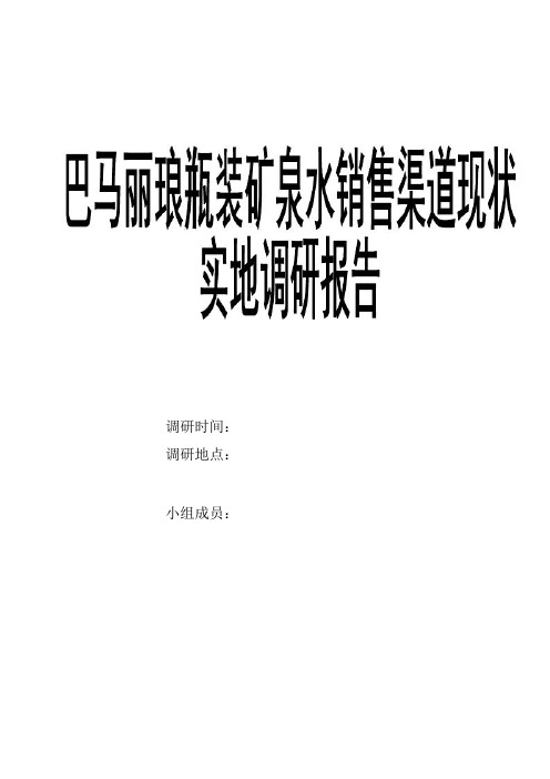 巴马丽琅瓶装矿泉水销售渠道现状实地调研报告