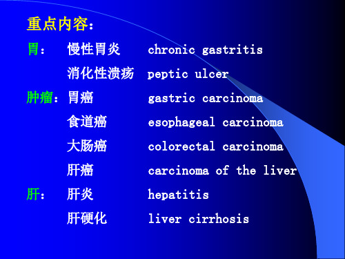 消化系统(病理)