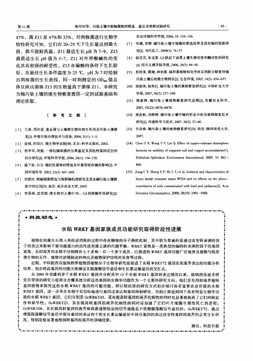 水稻WRKY基因家族成员功能研究取得阶段性进展