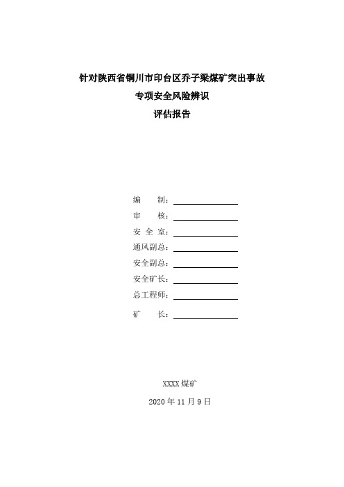 煤与瓦斯突出事故专项安全风险辨识评估报告