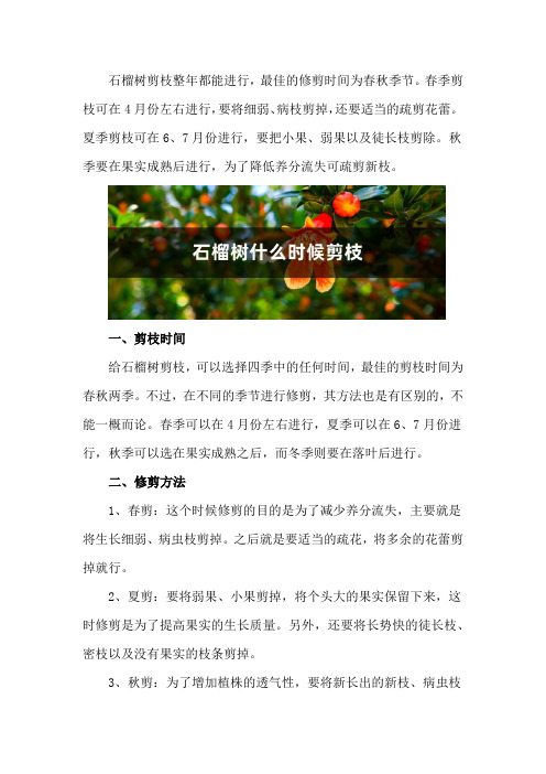 石榴树什么时候剪枝