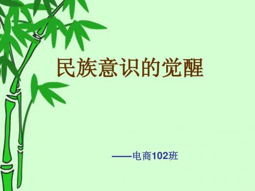 民族意识的觉醒