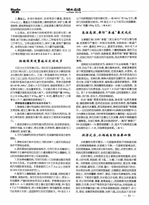 柑橘园里适量施石灰好处多