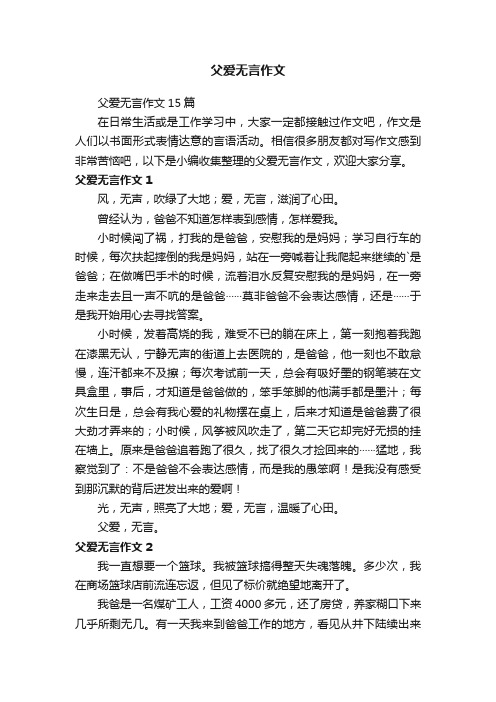 父爱无言作文