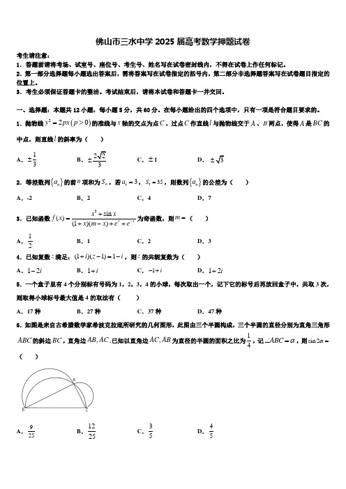 佛山市三水中学2025届高考数学押题试卷含解析