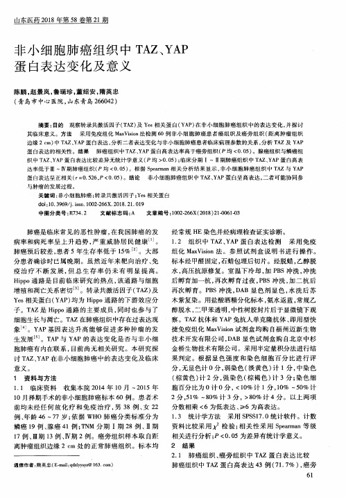 非小细胞肺癌组织中TAZ、YAP蛋白表达变化及意义