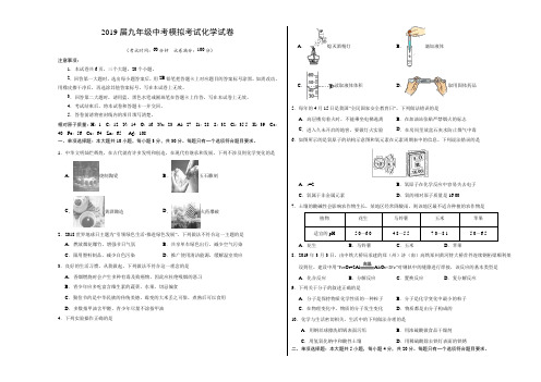 2019届九年级中考模拟考试化学试卷