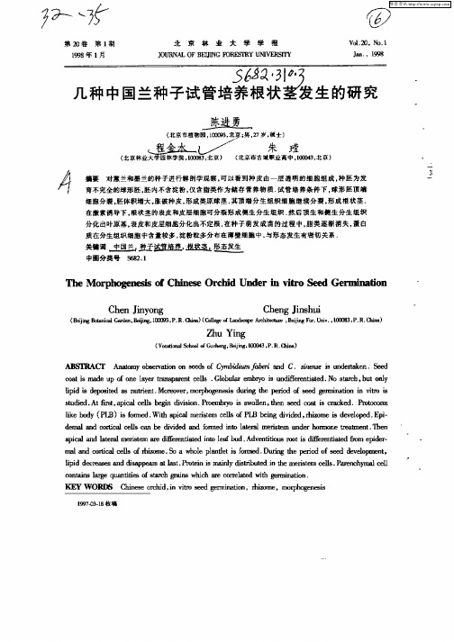 几种中国兰种子试管培养根状茎发生的研究