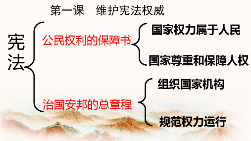 2.1坚持依宪治国第一课时 根本的活动准则-人教部编版八年级道德与法治下册课件(共18张PPT)