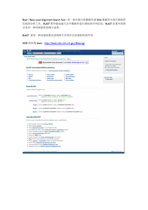在线blast的用法总结