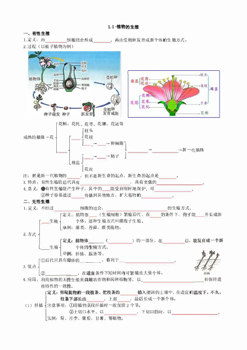 (新人教版)生物八年级下册分课时知识点填空(填空版+解析版)