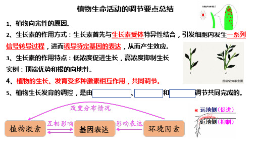 2025届高三一轮复习生物：种群及其动态课件