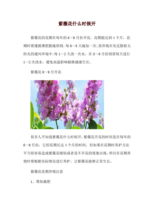 紫薇花什么时候开