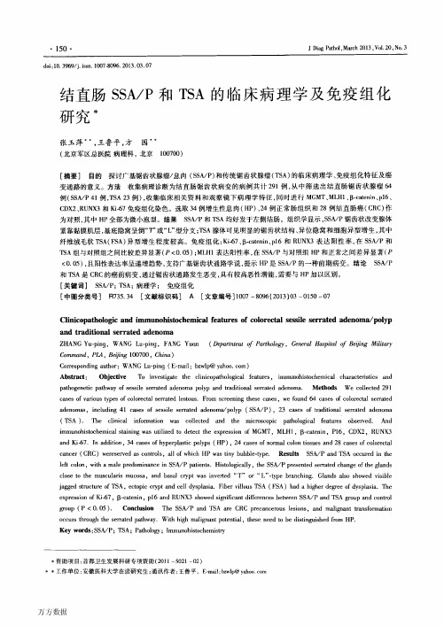 结直肠SSAP和TSA的临床病理学及免疫组化研究