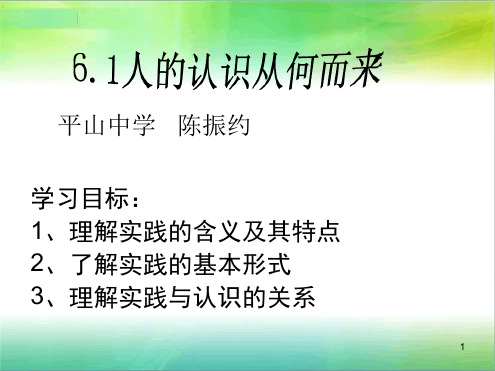 人教版高中思想政治必修4课件实践是认识来源