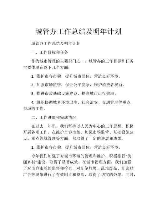 城管办工作总结及明年计划