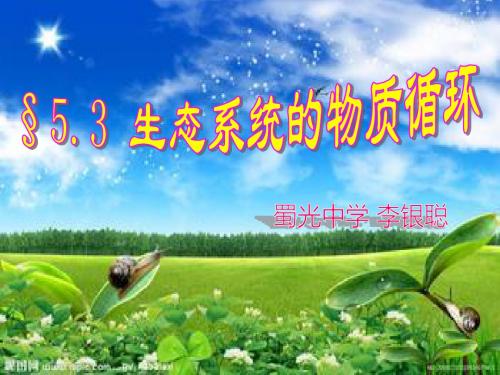 第3节 生态系统的物质循环
