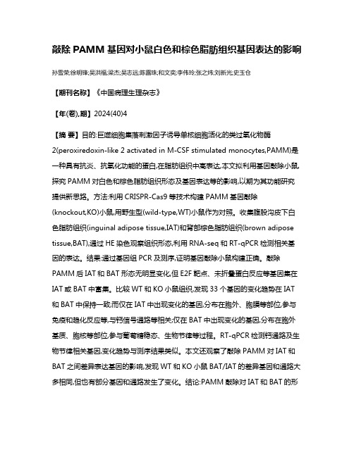 敲除PAMM基因对小鼠白色和棕色脂肪组织基因表达的影响