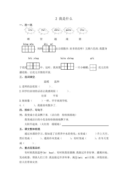 部编版二年级上册第2课我是什么练习题及答案