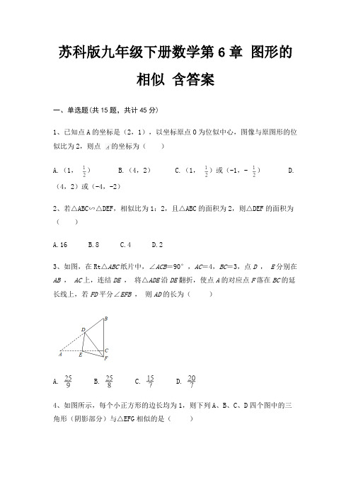 苏科版九年级下册数学第6章 图形的相似 含答案