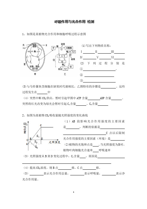 高中 呼吸作用与光合作用 检测