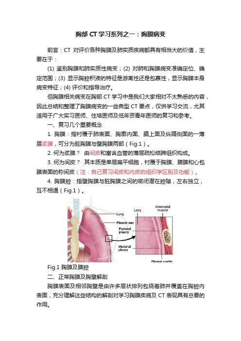 胸部CT学习系列之一：胸膜病变