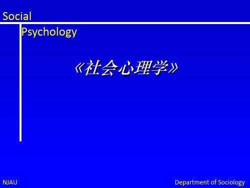 社会心理学理论PPT