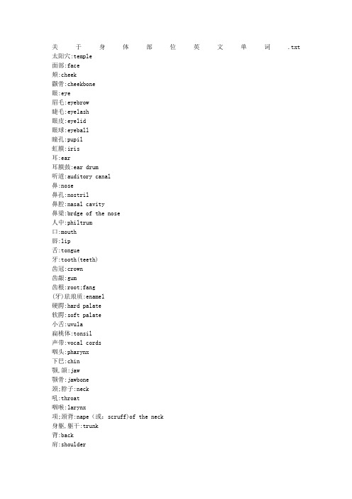 关于身体部位英文单词