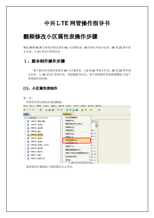 中兴LTE网管操作指导书