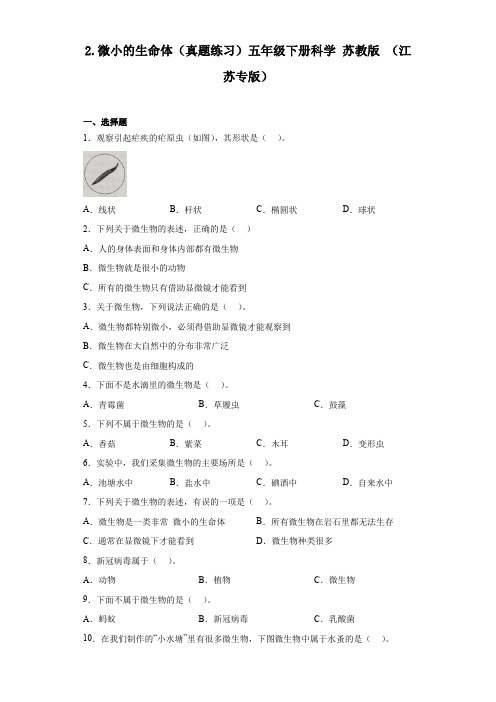 微小的生命体(真题练习)五年级下册科学苏教版(江苏专版)