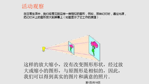 图形的位似变换PPT课件