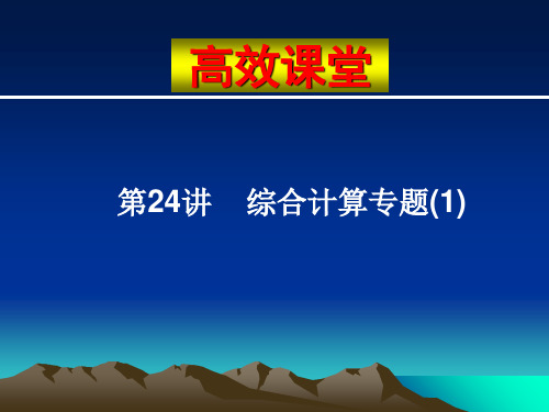 中考化学复习高效课堂系列课件(24)