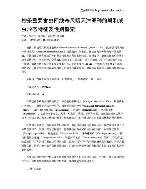 柠条重要害虫四线奇尺蛾天津亚种的蛹和成虫形态特征及性别鉴定