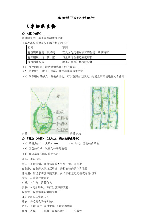 显微镜下的各种生物